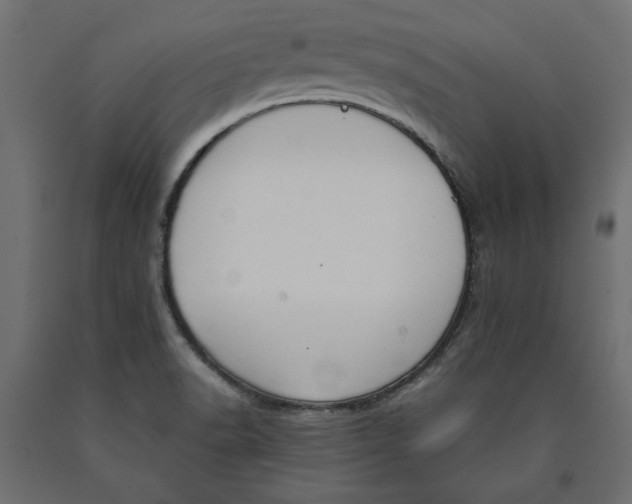 X0000090411518200708031030