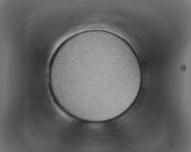 X0000090411519200708031030
