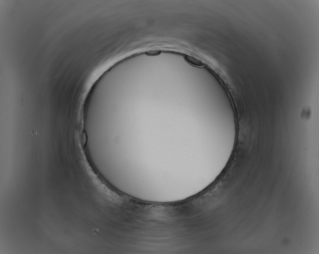 X0000090411520200708031030