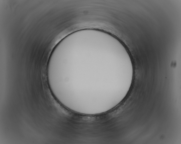X0000090411521200708031030