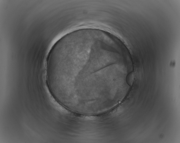 X0000090411522200708031030