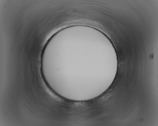 X0000090411523200708031030