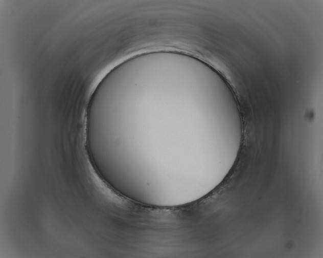 X0000090411524200708031030