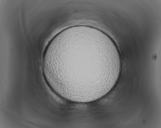 X0000090411525200708031031