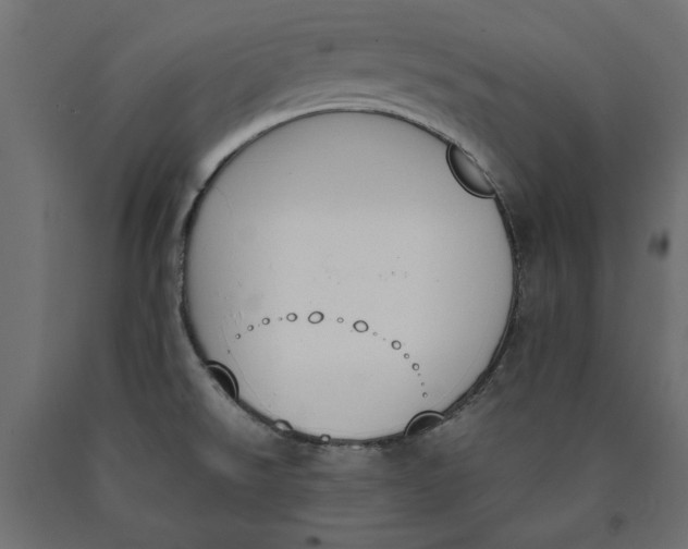 X0000090411526200708031031