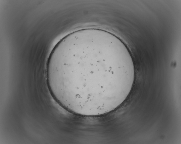 X0000090411527200708031031