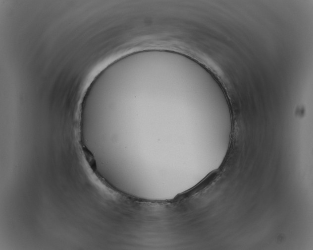X0000090411528200708031031