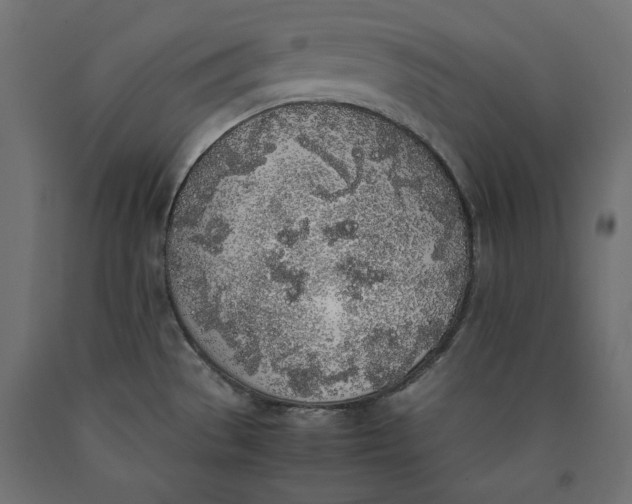 X0000090411529200708031031