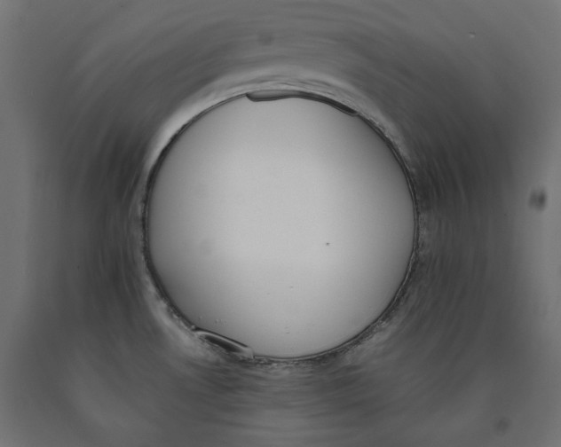 X0000090411530200708031031