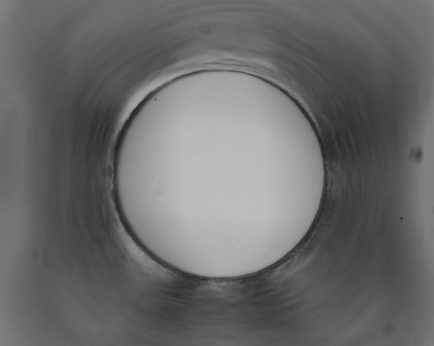 X0000090411531200708031031