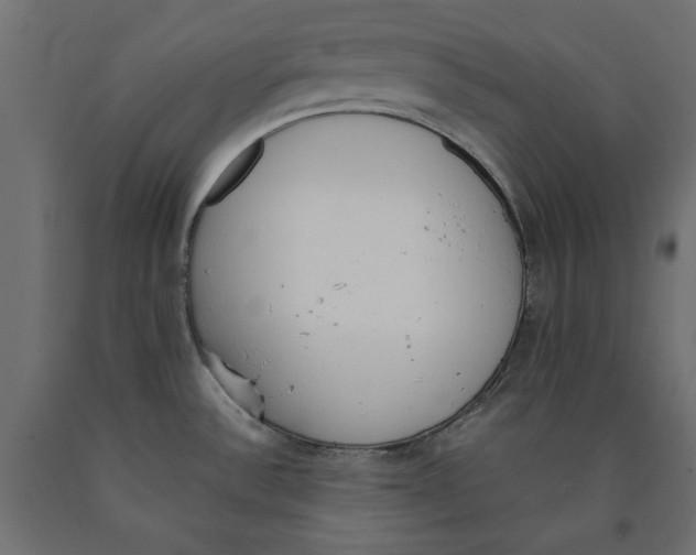 X0000090411532200708031031