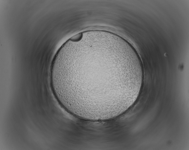 X0000090411533200708031031