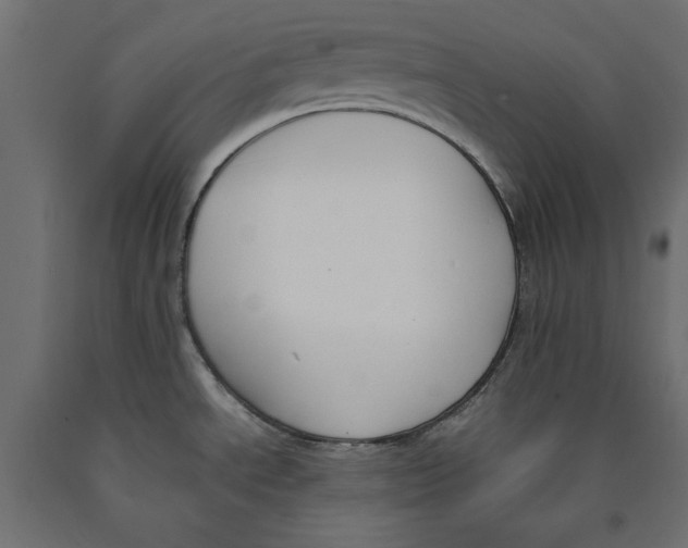 X0000090411534200708031031