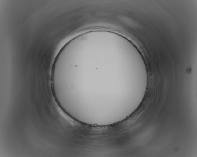 X0000090411535200708031031