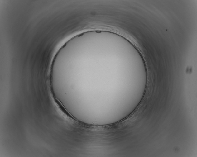 X0000090411536200708031031