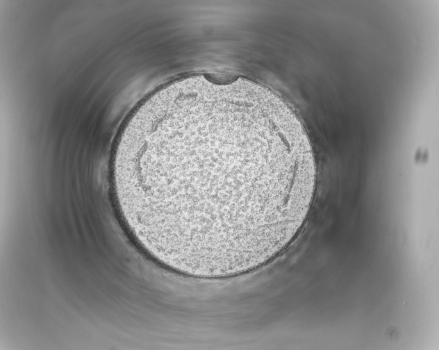 X0000090410002200708101930