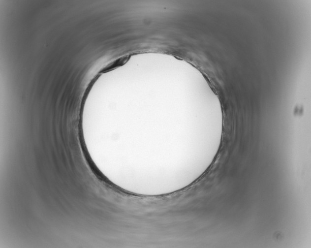 X0000090410003200708101930