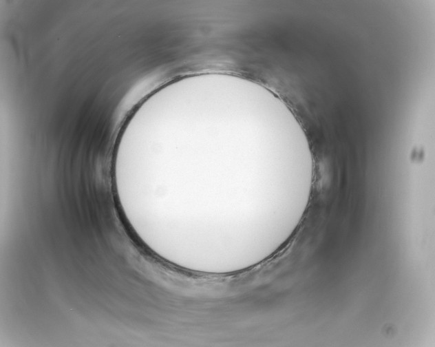 X0000090410004200708101930