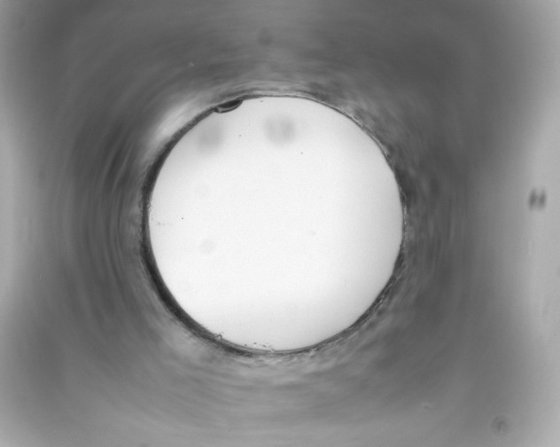 X0000090410005200708101930