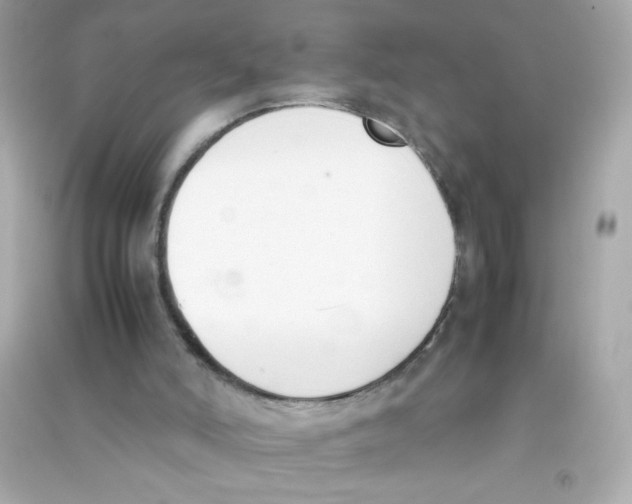 X0000090410006200708101930