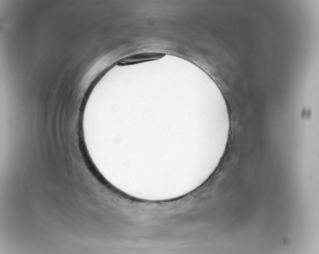 X0000090410007200708101930