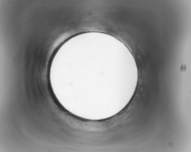 X0000090410008200708101930