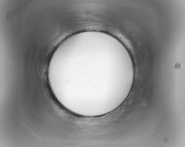 X0000090410009200708101930