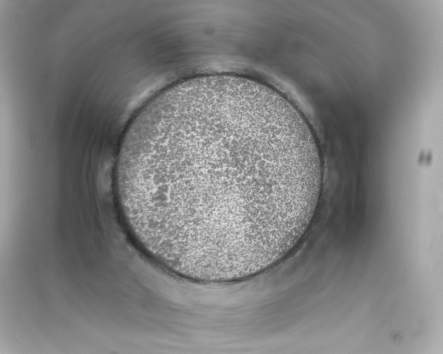 X0000090410010200708101930