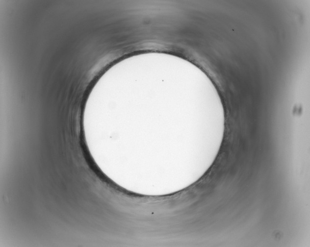 X0000090410011200708101930