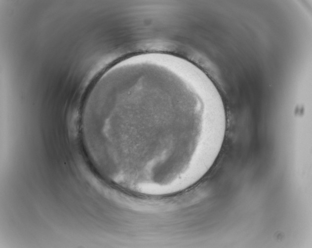 X0000090410012200708101930