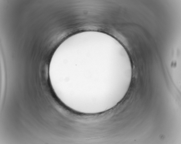 X0000090410013200708101930