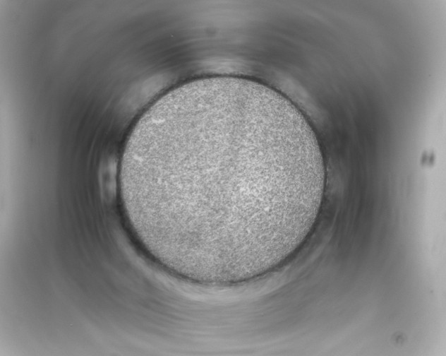 X0000090410014200708101930