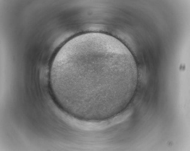 X0000090410016200708101930