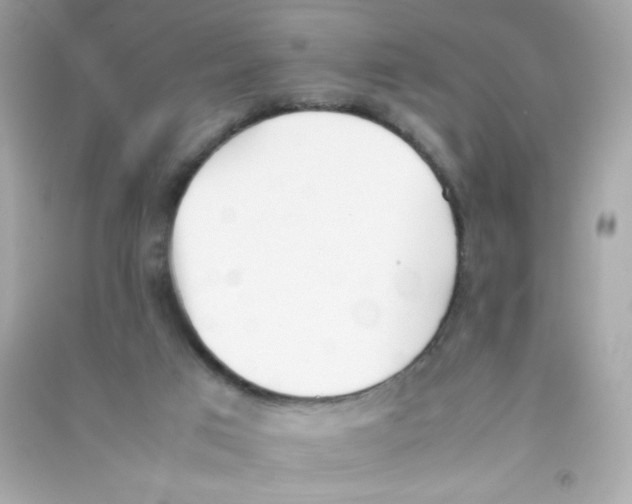 X0000090410017200708101930