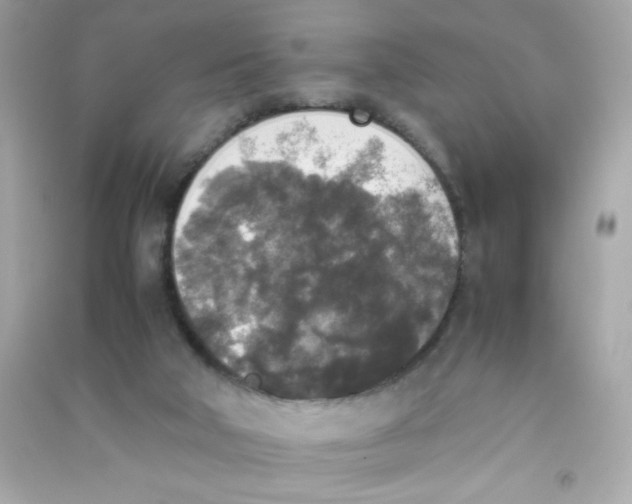 X0000090410018200708101930