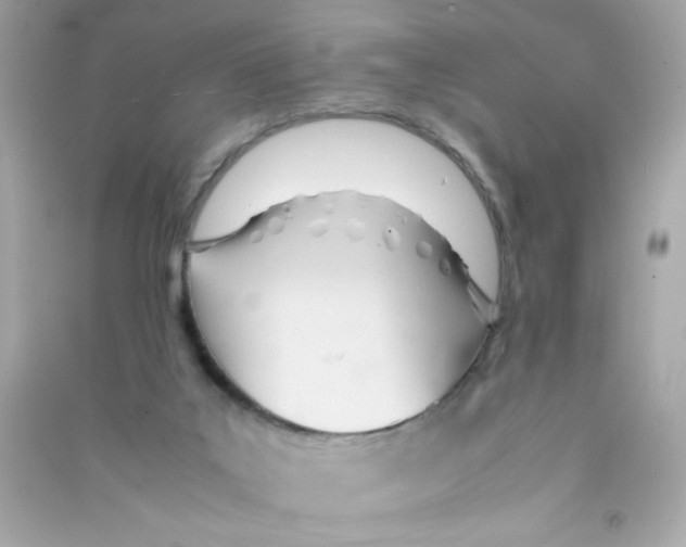 X0000090410019200708101930