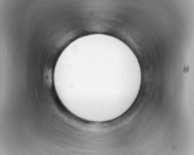 X0000090410020200708101930