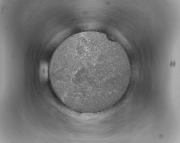 X0000090410022200708101930