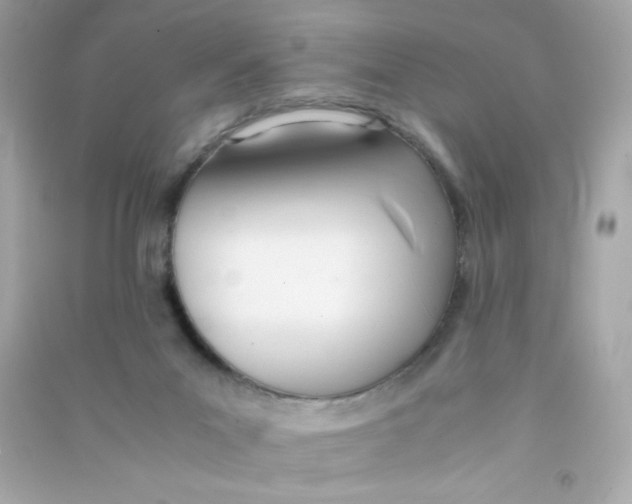 X0000090410023200708101930