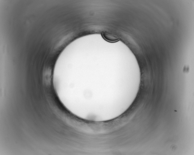 X0000090410024200708101930