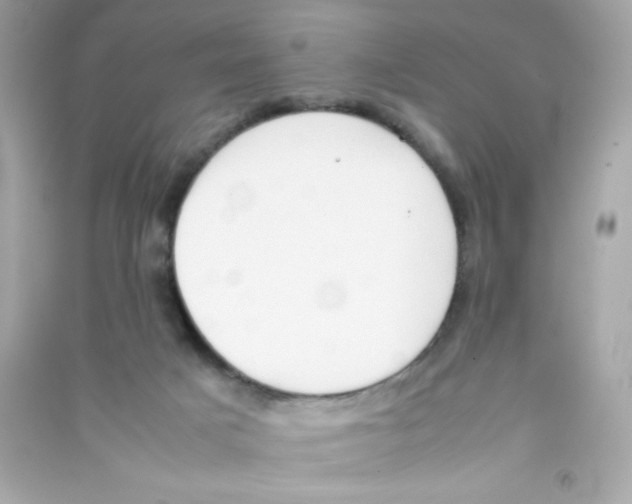 X0000090410025200708101930