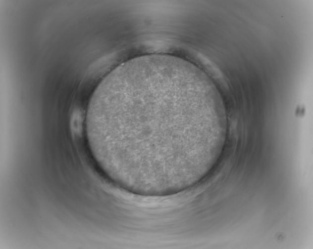 X0000090410026200708101929