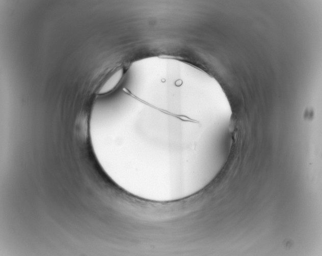 X0000090410027200708101929