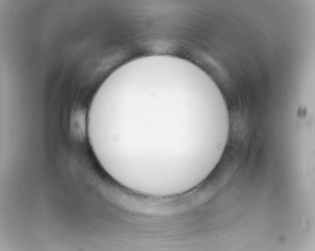 X0000090410028200708101929