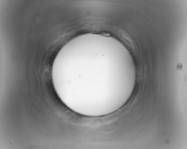 X0000090410029200708101929