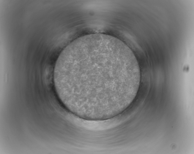 X0000090410030200708101929