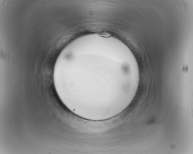 X0000090410031200708101929