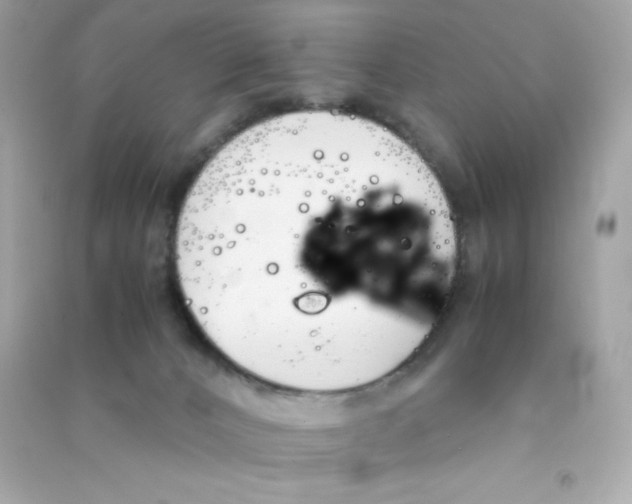 X0000090410032200708101929