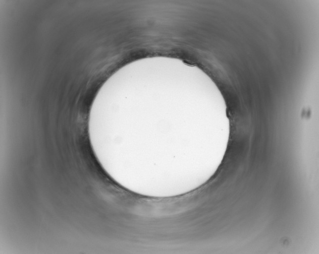 X0000090410033200708101929