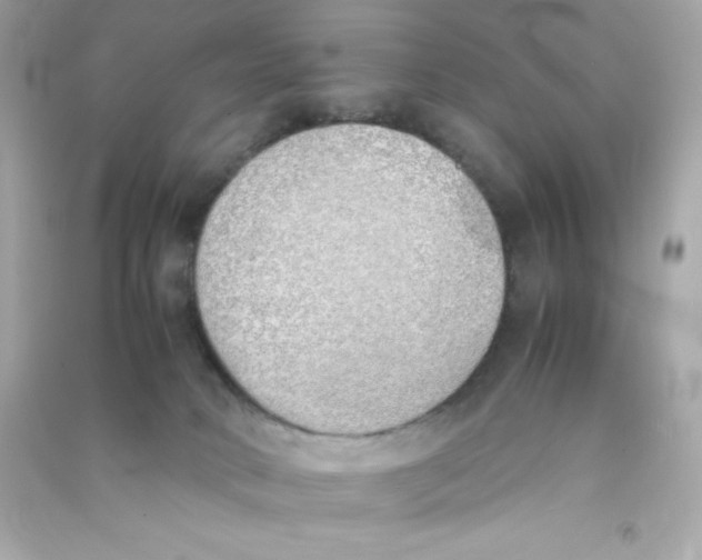 X0000090410034200708101929